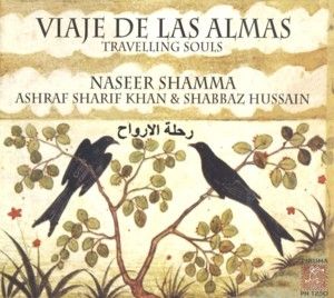 VIAJE DE LAS ALMAS